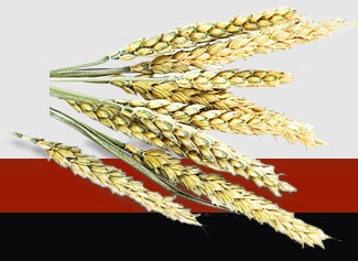 必发7790(中国区)电子集团-线上平台登录入口