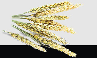 必发7790(中国区)电子集团-线上平台登录入口