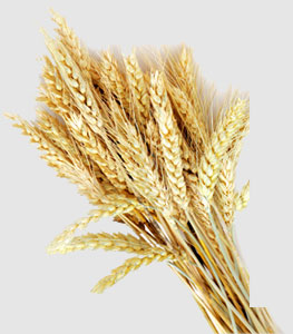 必发7790(中国区)电子集团-线上平台登录入口