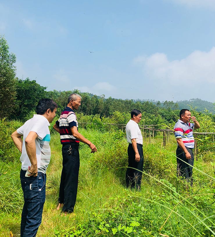 必发7790(中国区)电子集团-线上平台登录入口