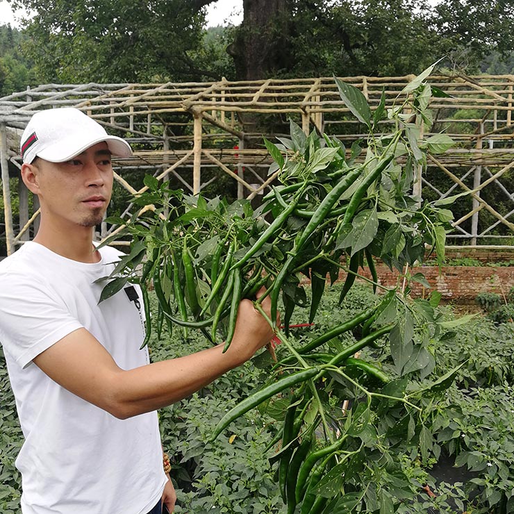 必发7790(中国区)电子集团-线上平台登录入口