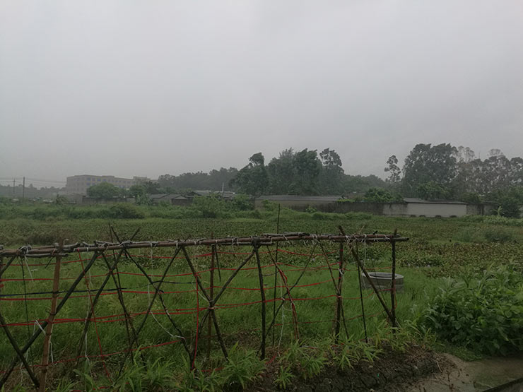 必发7790(中国区)电子集团-线上平台登录入口