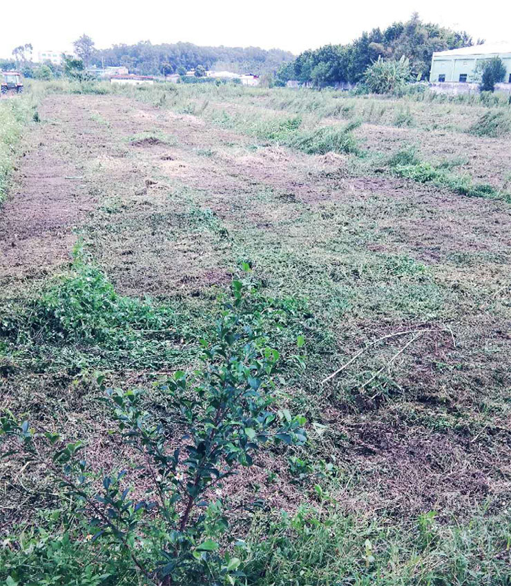 必发7790(中国区)电子集团-线上平台登录入口