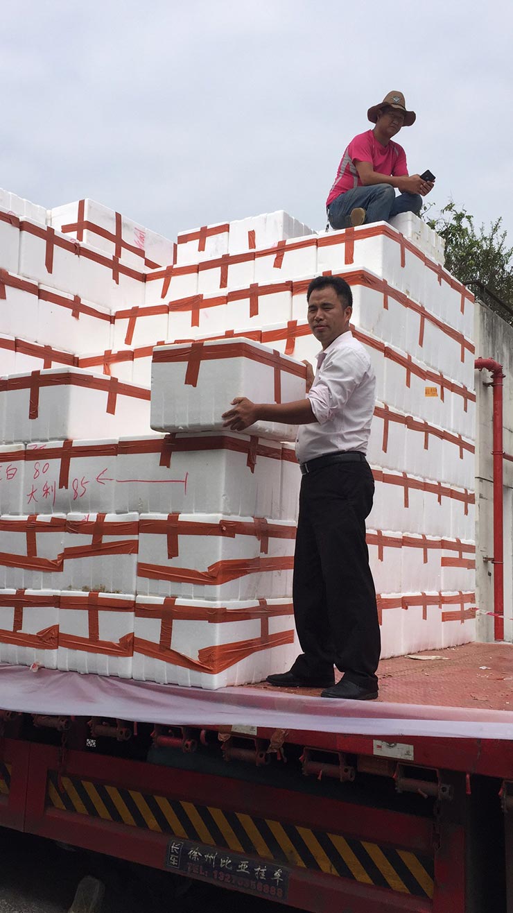 必发7790(中国区)电子集团-线上平台登录入口