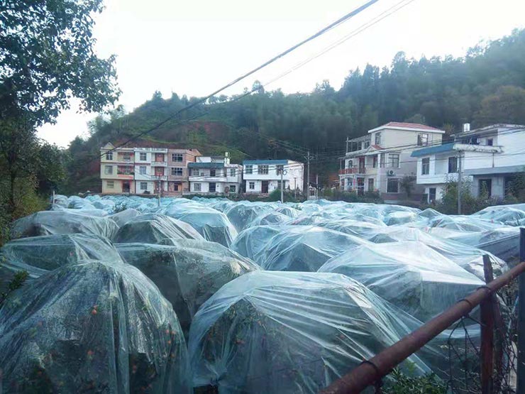 必发7790(中国区)电子集团-线上平台登录入口