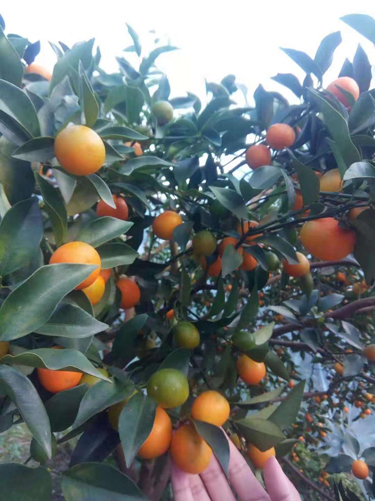 必发7790(中国区)电子集团-线上平台登录入口