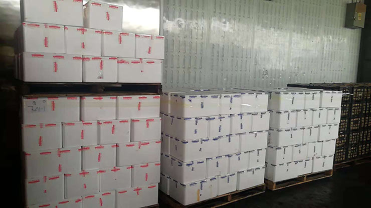 必发7790(中国区)电子集团-线上平台登录入口