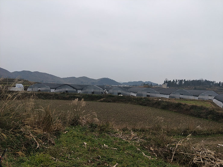 必发7790(中国区)电子集团-线上平台登录入口