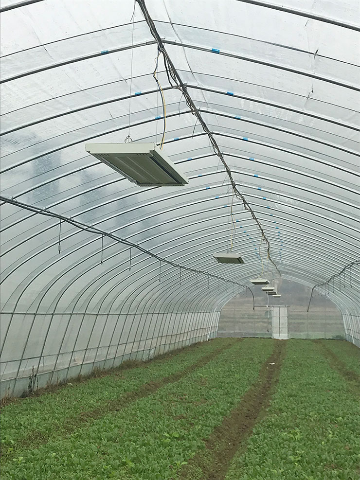 必发7790(中国区)电子集团-线上平台登录入口