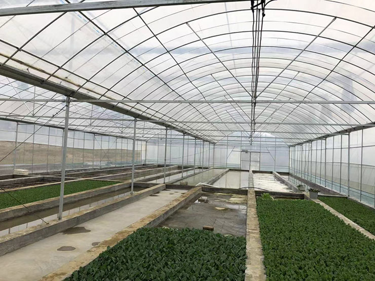 必发7790(中国区)电子集团-线上平台登录入口