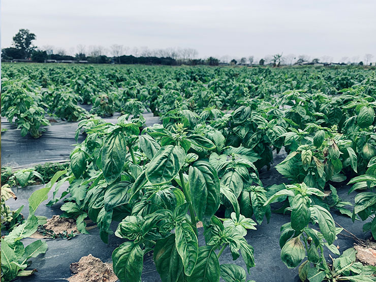 必发7790(中国区)电子集团-线上平台登录入口