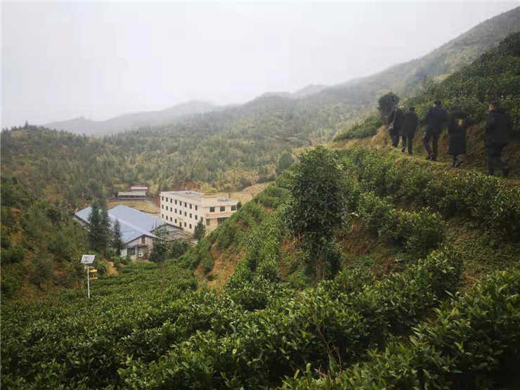 必发7790(中国区)电子集团-线上平台登录入口