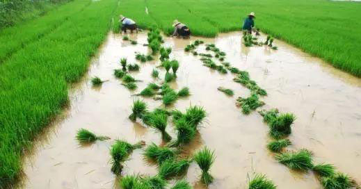 必发7790(中国区)电子集团-线上平台登录入口