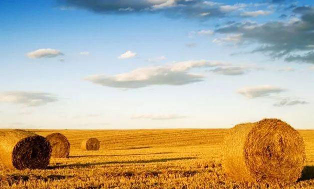 必发7790(中国区)电子集团-线上平台登录入口