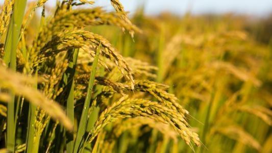 必发7790(中国区)电子集团-线上平台登录入口