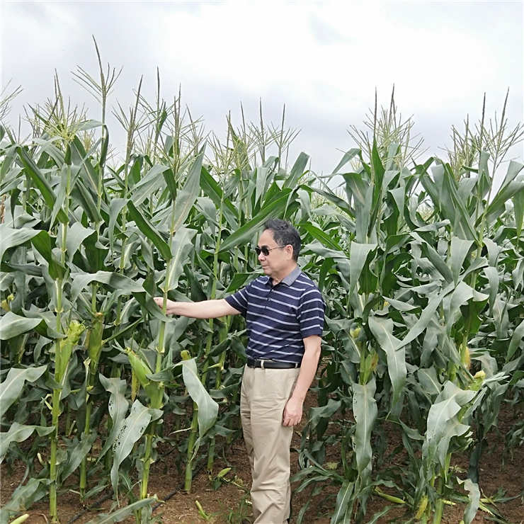 必发7790(中国区)电子集团-线上平台登录入口