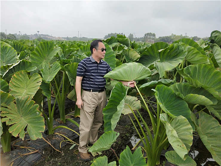 必发7790(中国区)电子集团-线上平台登录入口