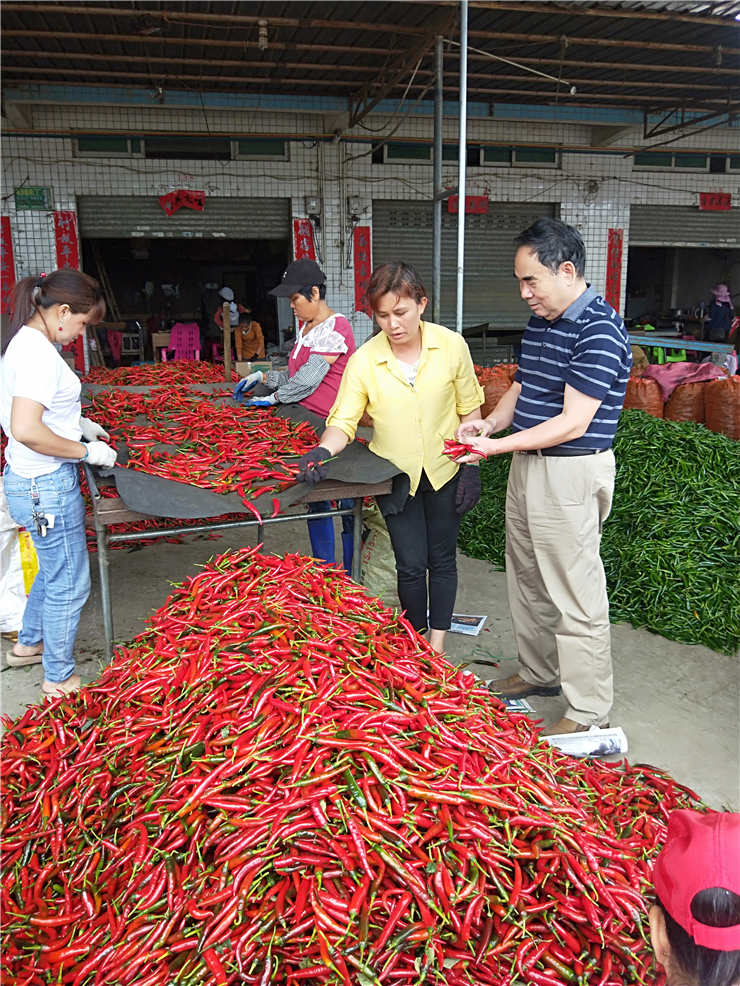 必发7790(中国区)电子集团-线上平台登录入口