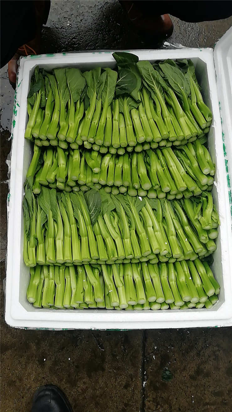 必发7790(中国区)电子集团-线上平台登录入口