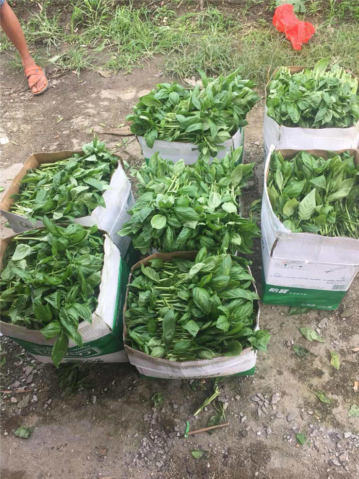 必发7790(中国区)电子集团-线上平台登录入口