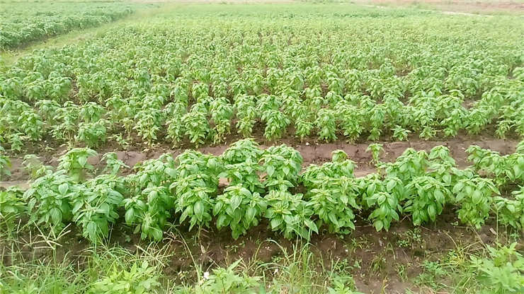 必发7790(中国区)电子集团-线上平台登录入口