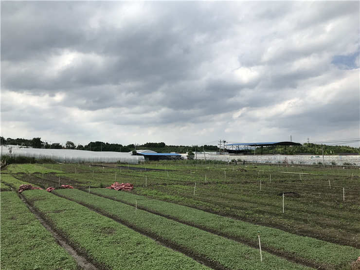 必发7790(中国区)电子集团-线上平台登录入口