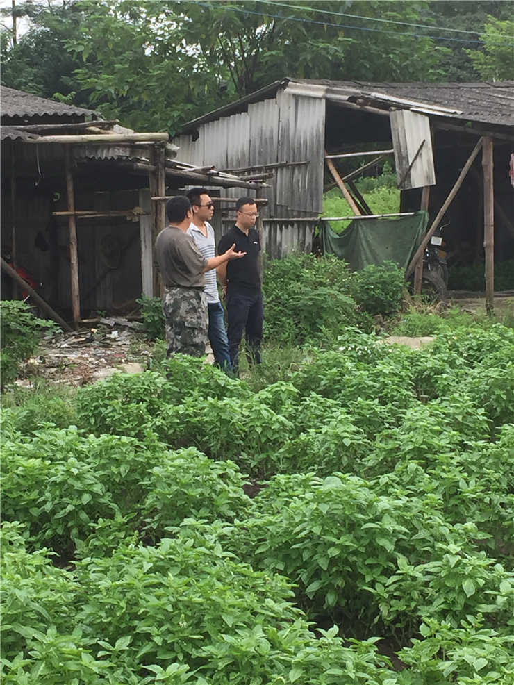 必发7790(中国区)电子集团-线上平台登录入口