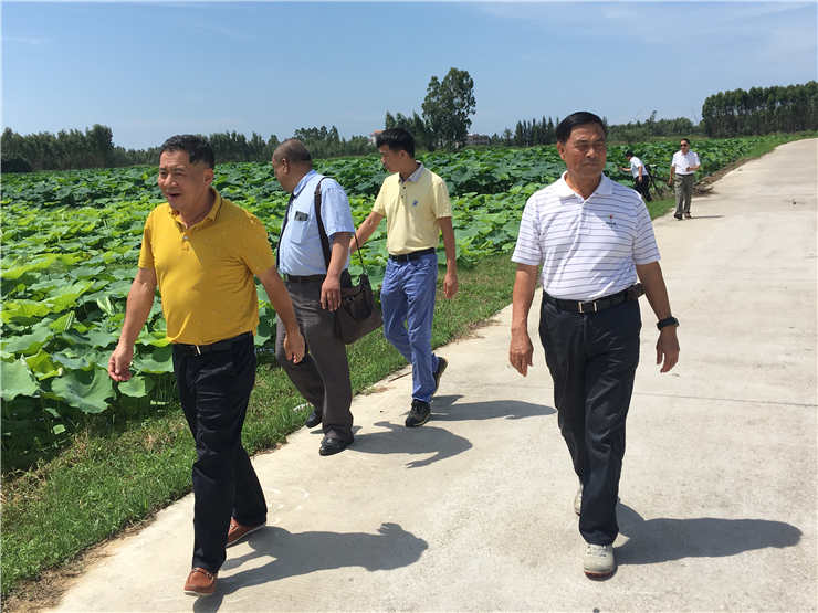 必发7790(中国区)电子集团-线上平台登录入口