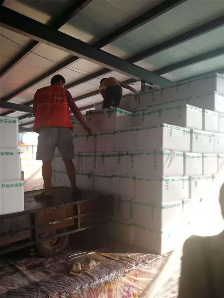 必发7790(中国区)电子集团-线上平台登录入口