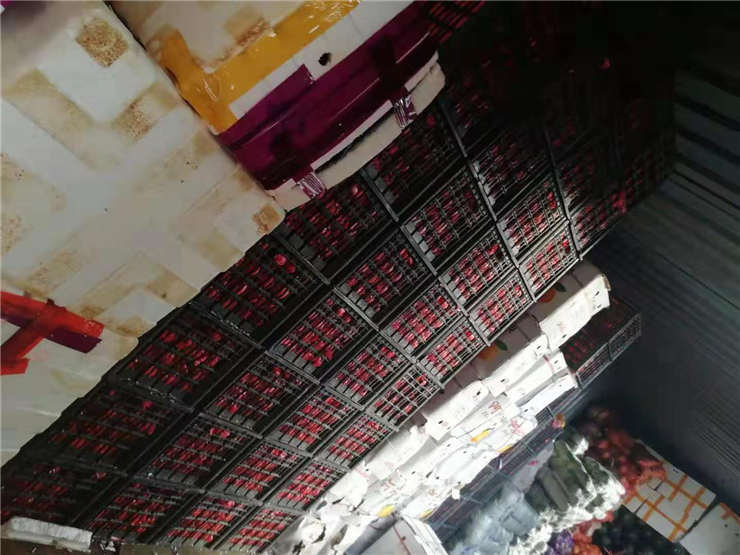 必发7790(中国区)电子集团-线上平台登录入口