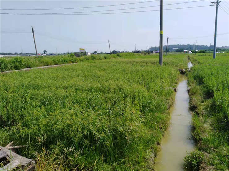 必发7790(中国区)电子集团-线上平台登录入口