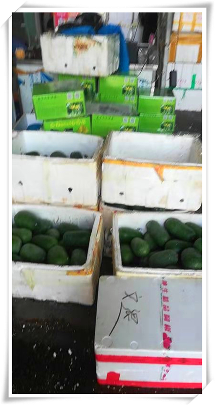 必发7790(中国区)电子集团-线上平台登录入口