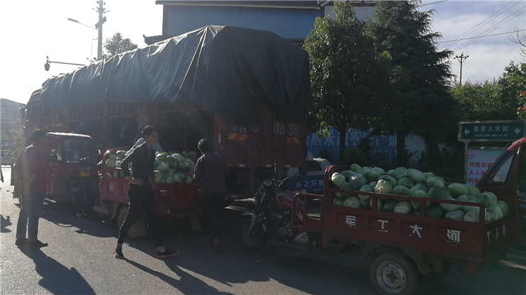 必发7790(中国区)电子集团-线上平台登录入口