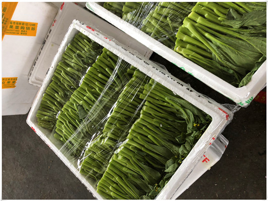 必发7790(中国区)电子集团-线上平台登录入口