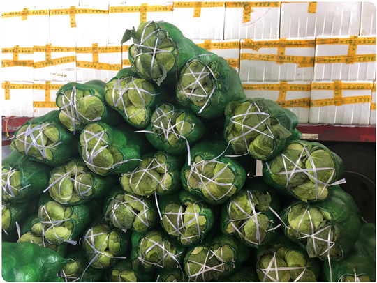 必发7790(中国区)电子集团-线上平台登录入口