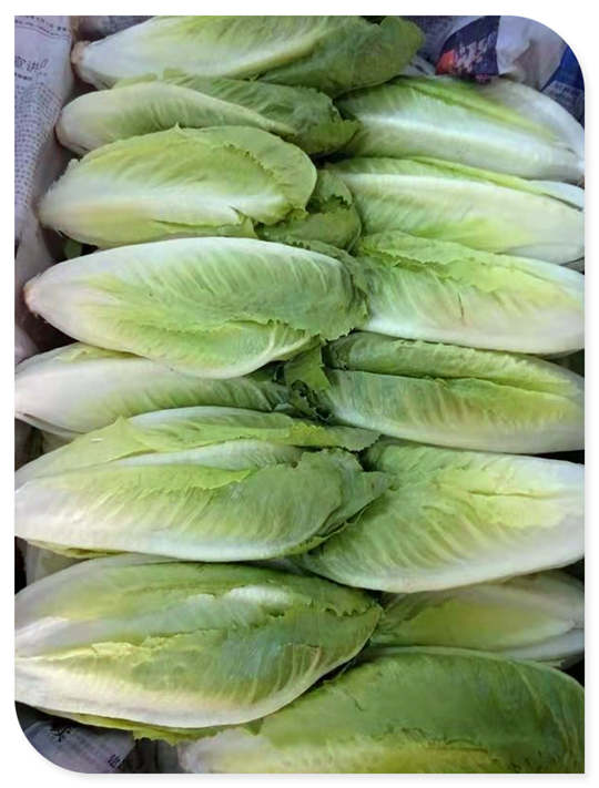 必发7790(中国区)电子集团-线上平台登录入口