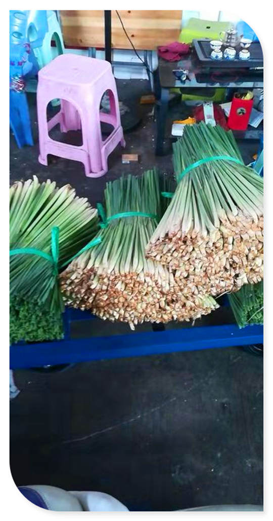 必发7790(中国区)电子集团-线上平台登录入口