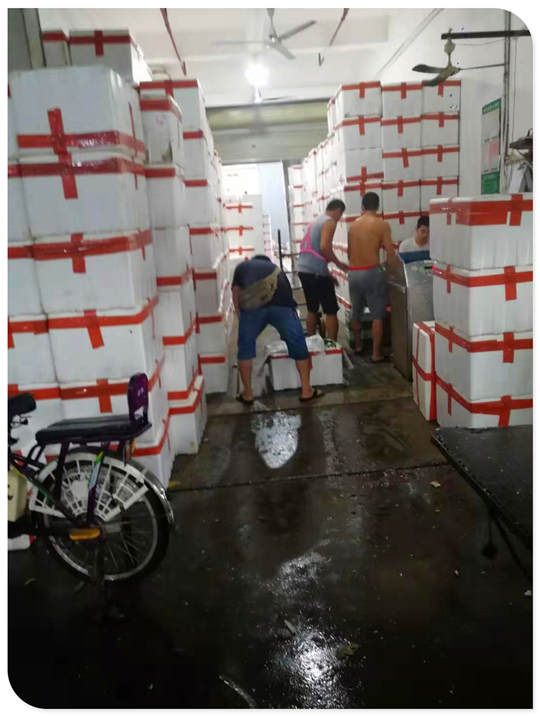 必发7790(中国区)电子集团-线上平台登录入口