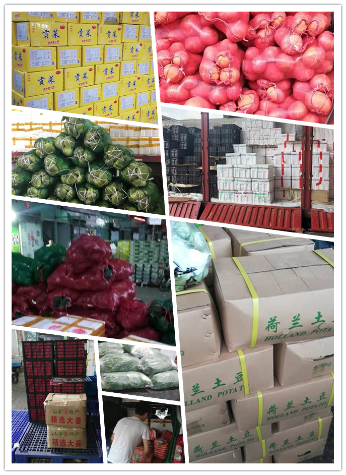 必发7790(中国区)电子集团-线上平台登录入口