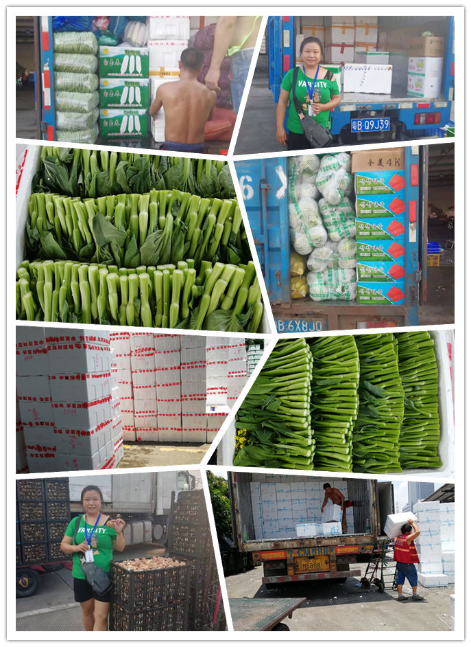 必发7790(中国区)电子集团-线上平台登录入口