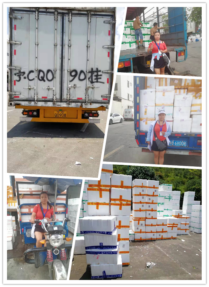 必发7790(中国区)电子集团-线上平台登录入口