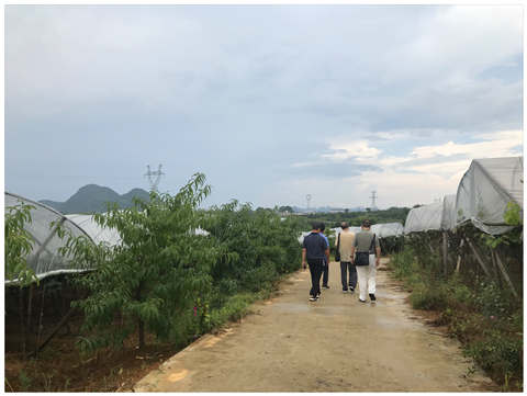 必发7790(中国区)电子集团-线上平台登录入口