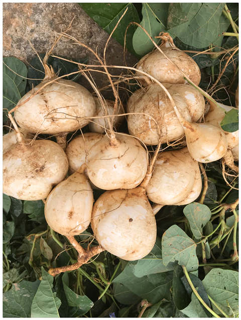 必发7790(中国区)电子集团-线上平台登录入口