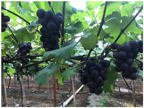 必发7790(中国区)电子集团-线上平台登录入口