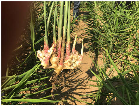 必发7790(中国区)电子集团-线上平台登录入口