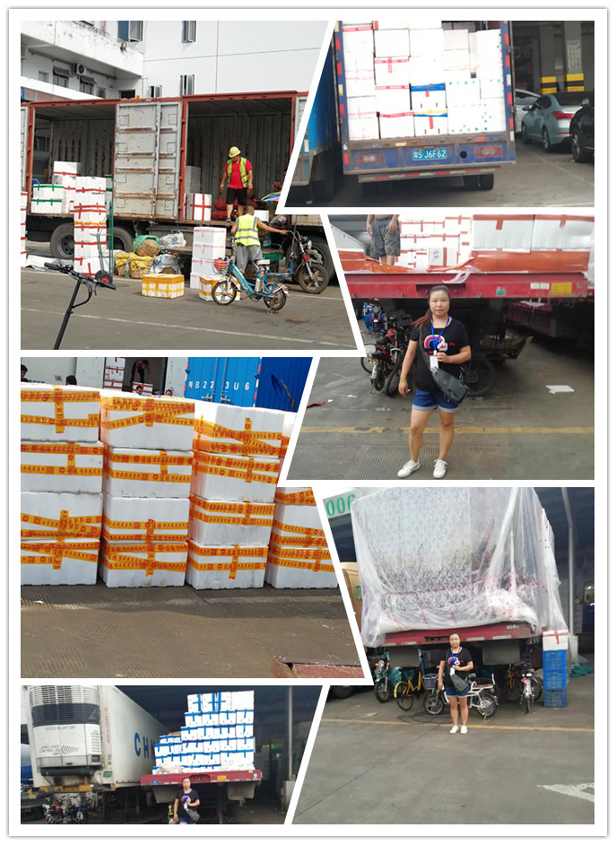 必发7790(中国区)电子集团-线上平台登录入口