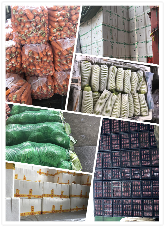 必发7790(中国区)电子集团-线上平台登录入口