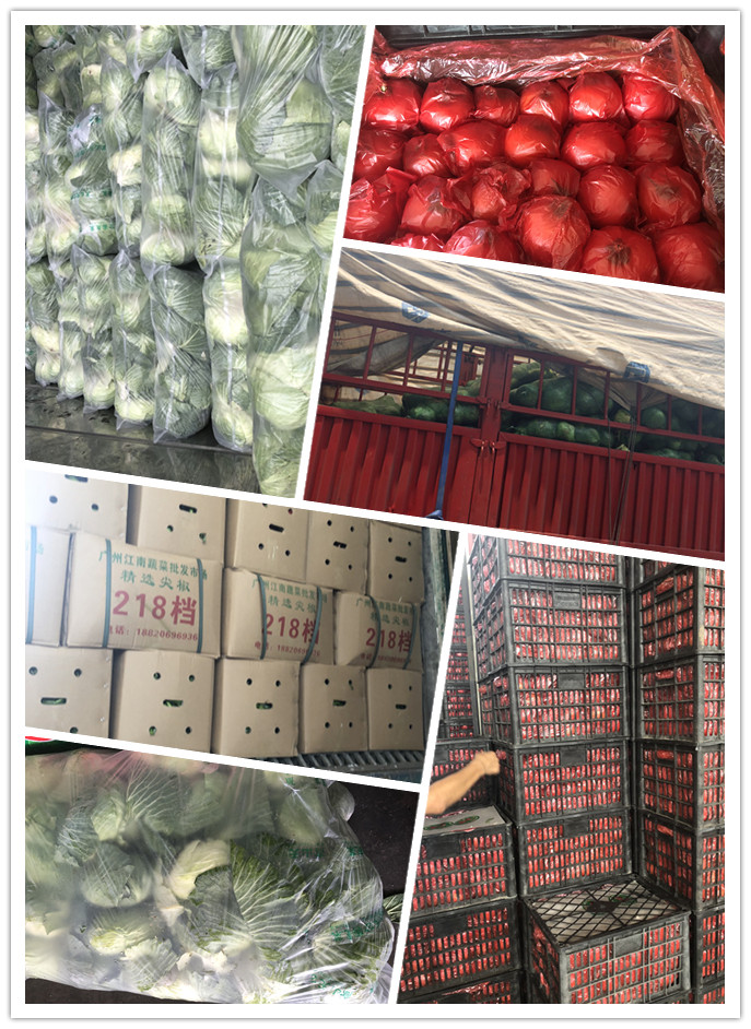 必发7790(中国区)电子集团-线上平台登录入口