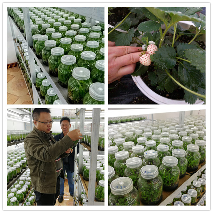 必发7790(中国区)电子集团-线上平台登录入口