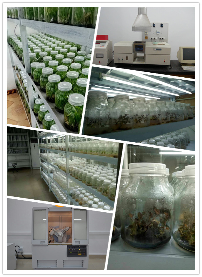 必发7790(中国区)电子集团-线上平台登录入口